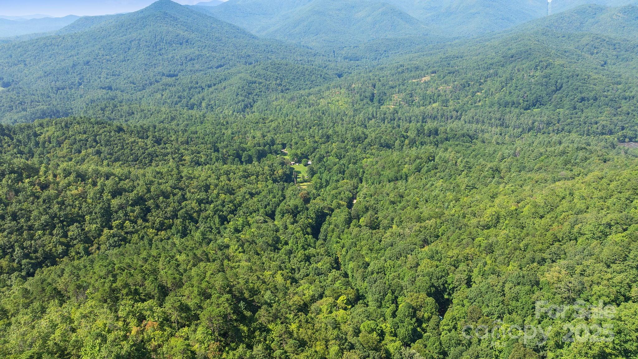 80 Breezewood Drive Property Photo 22