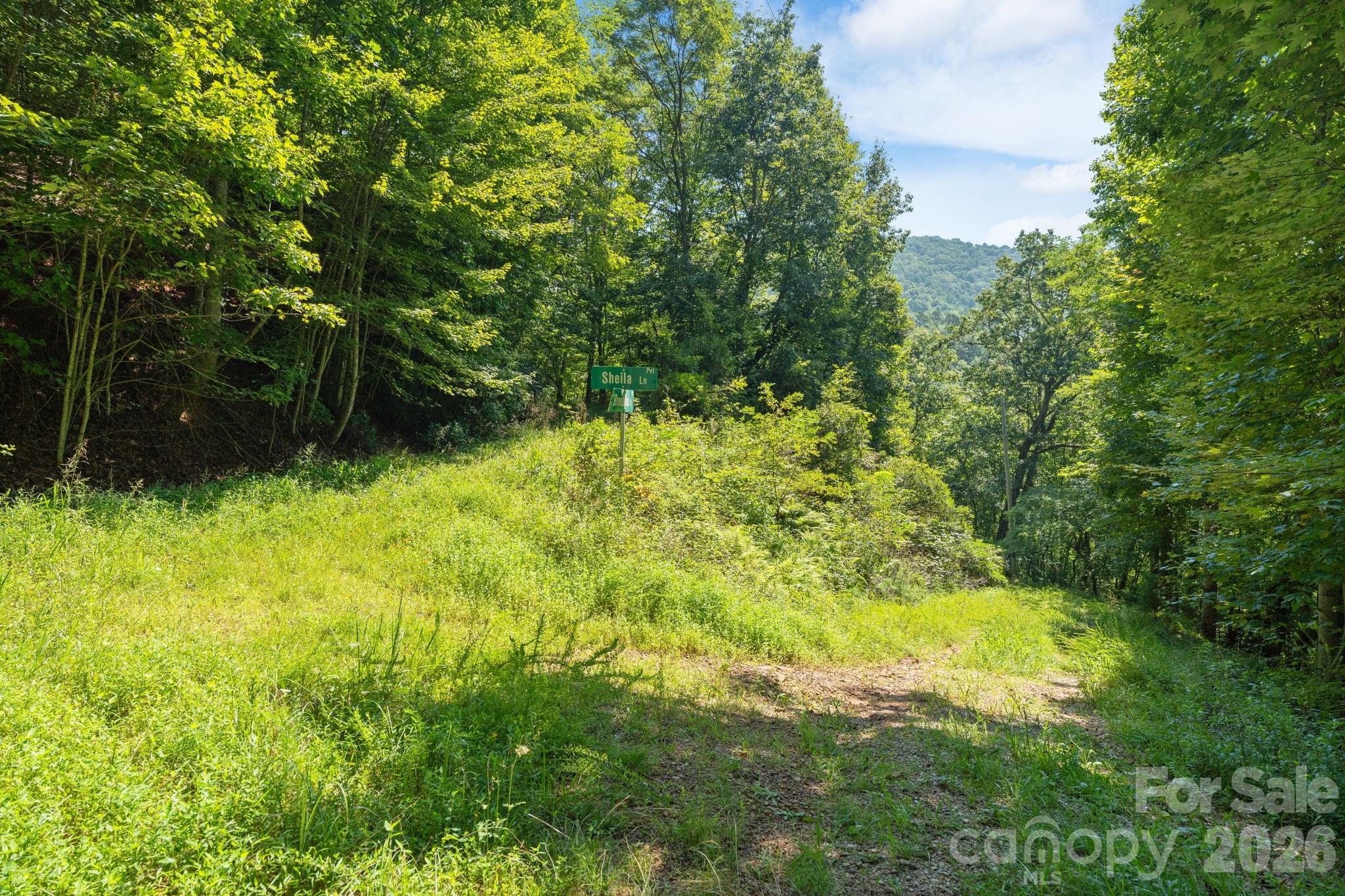 80 Breezewood Drive Property Photo 22