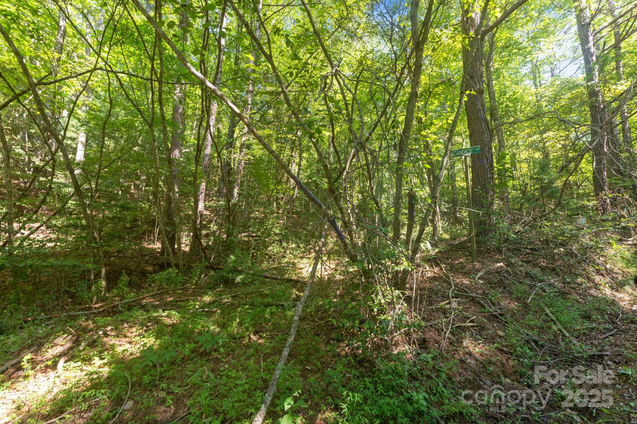 80 Breezewood Drive Property Photo 23