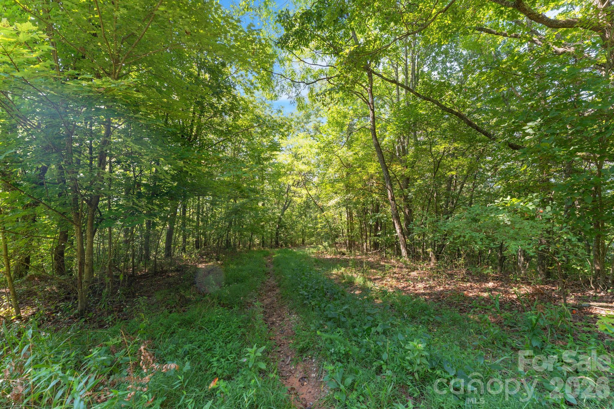 80 Breezewood Drive Property Photo 23