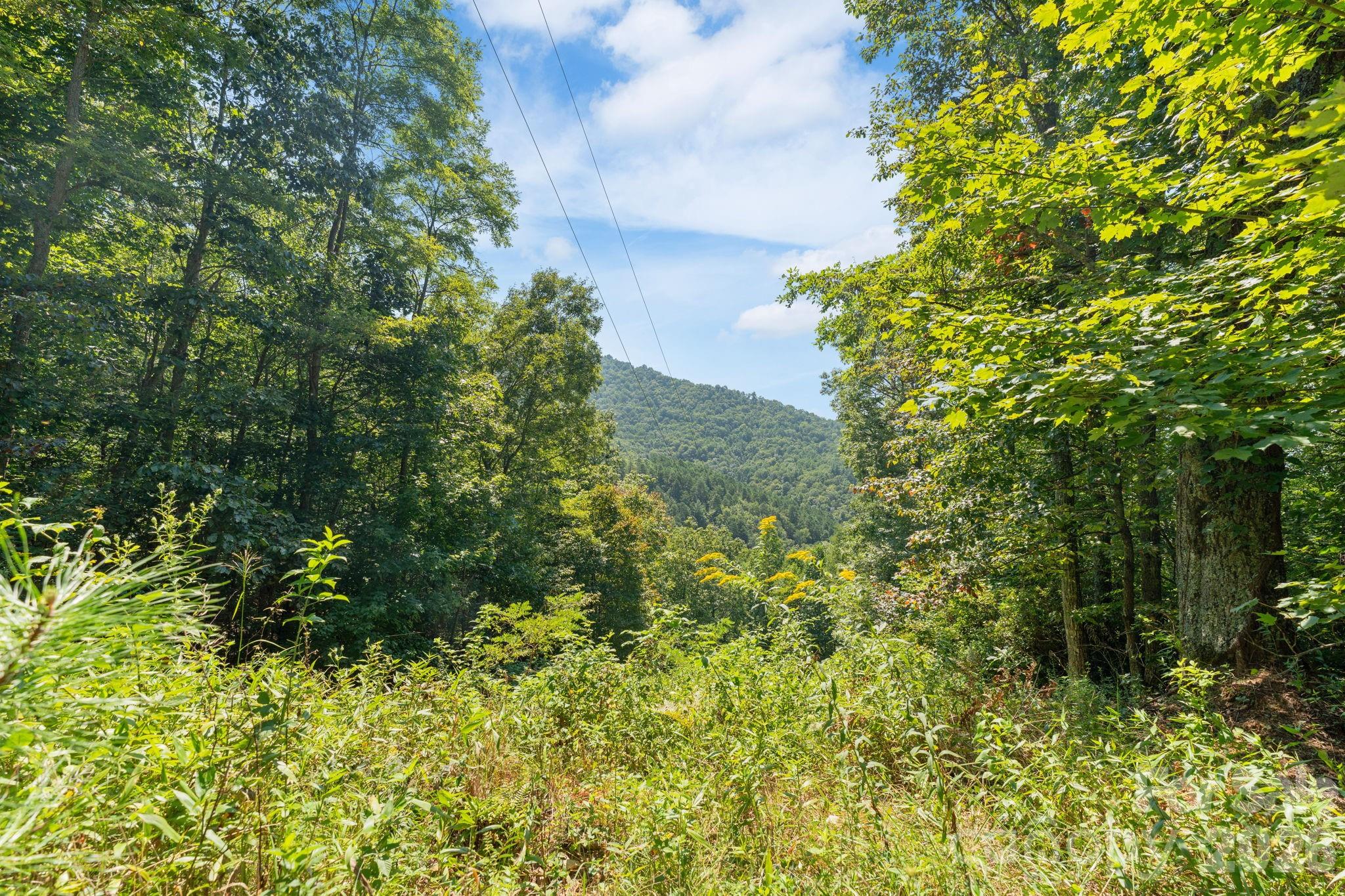 80 Breezewood Drive Property Photo 24