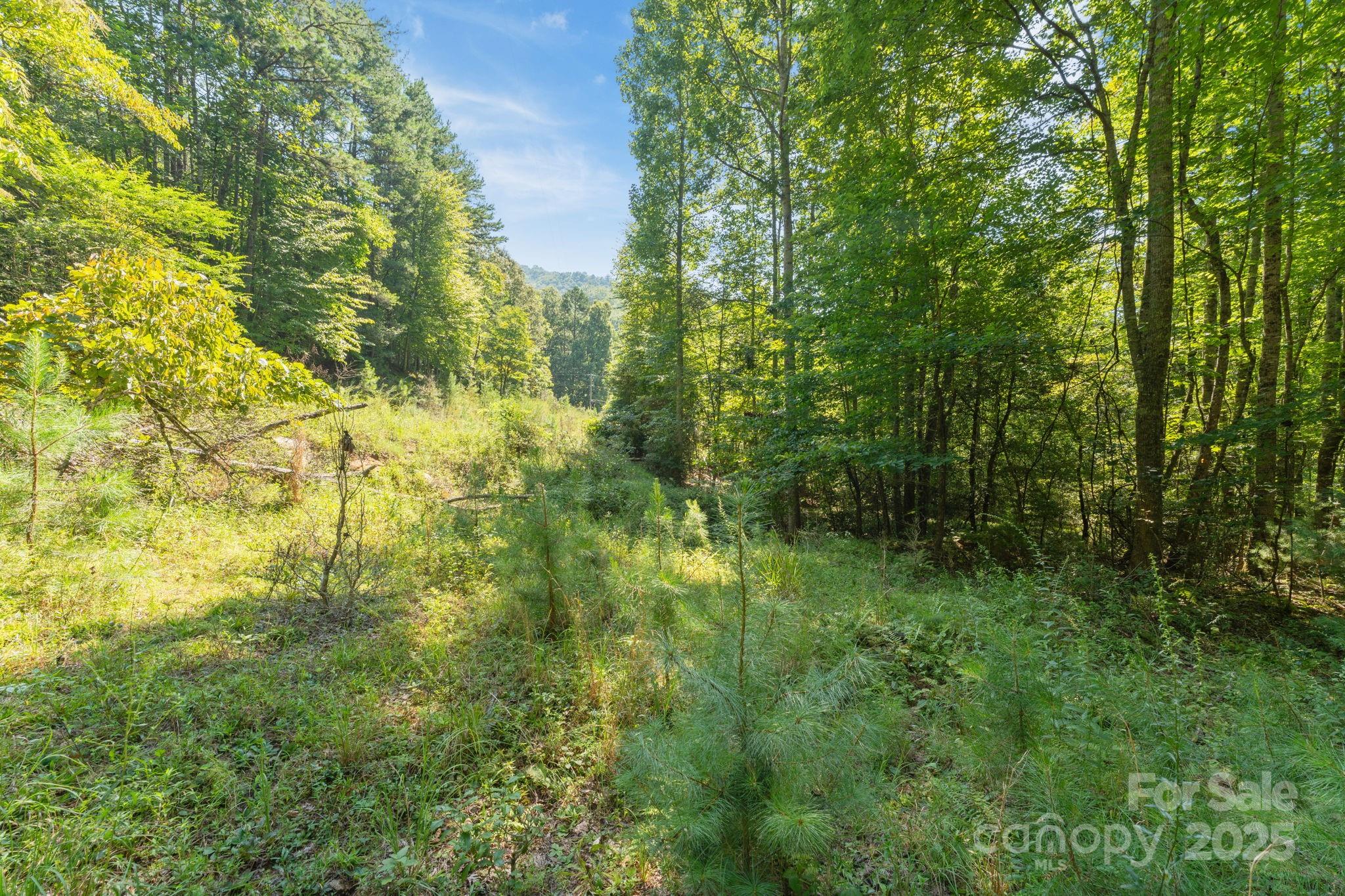 80 Breezewood Drive Property Photo 25