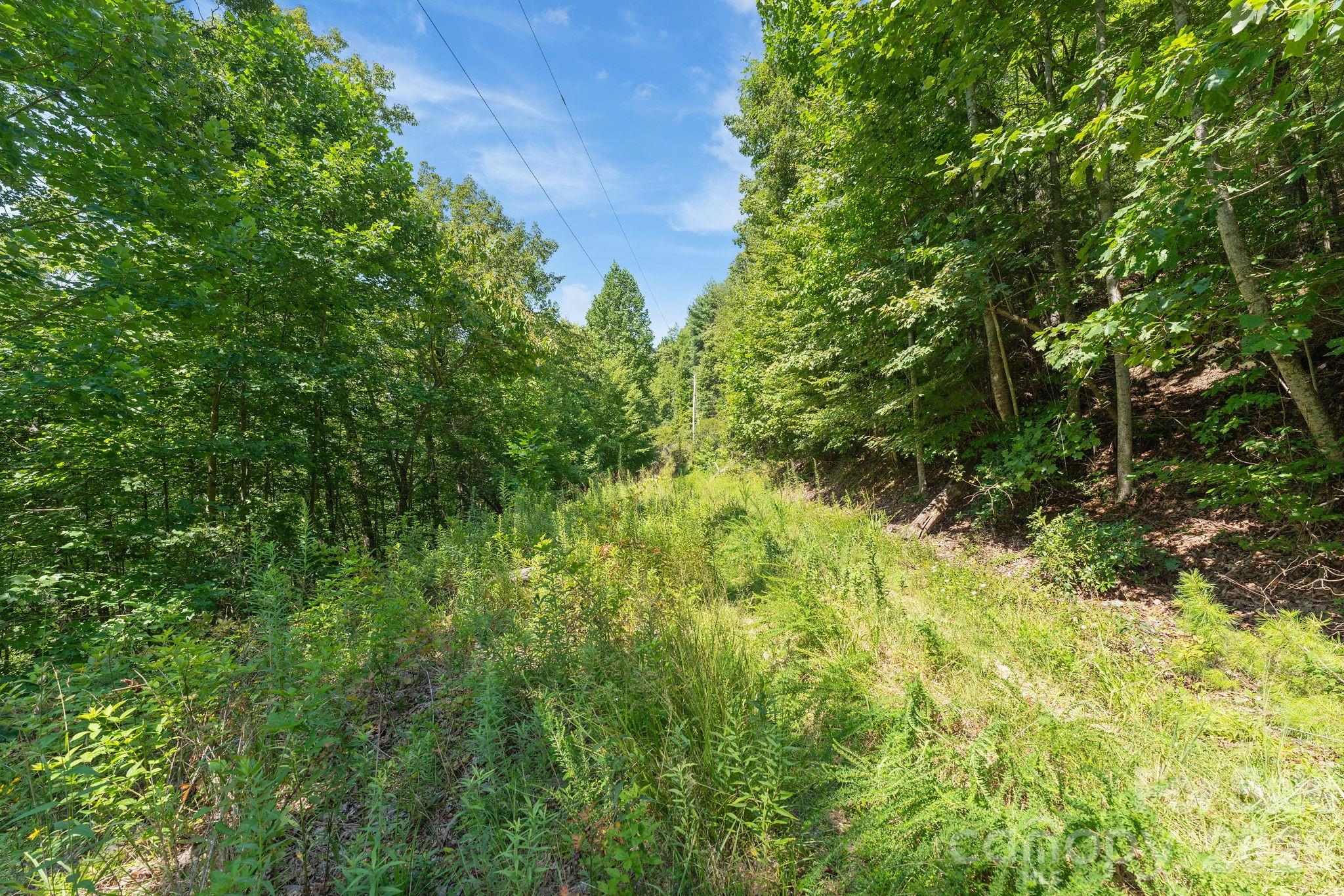 80 Breezewood Drive Property Photo 25