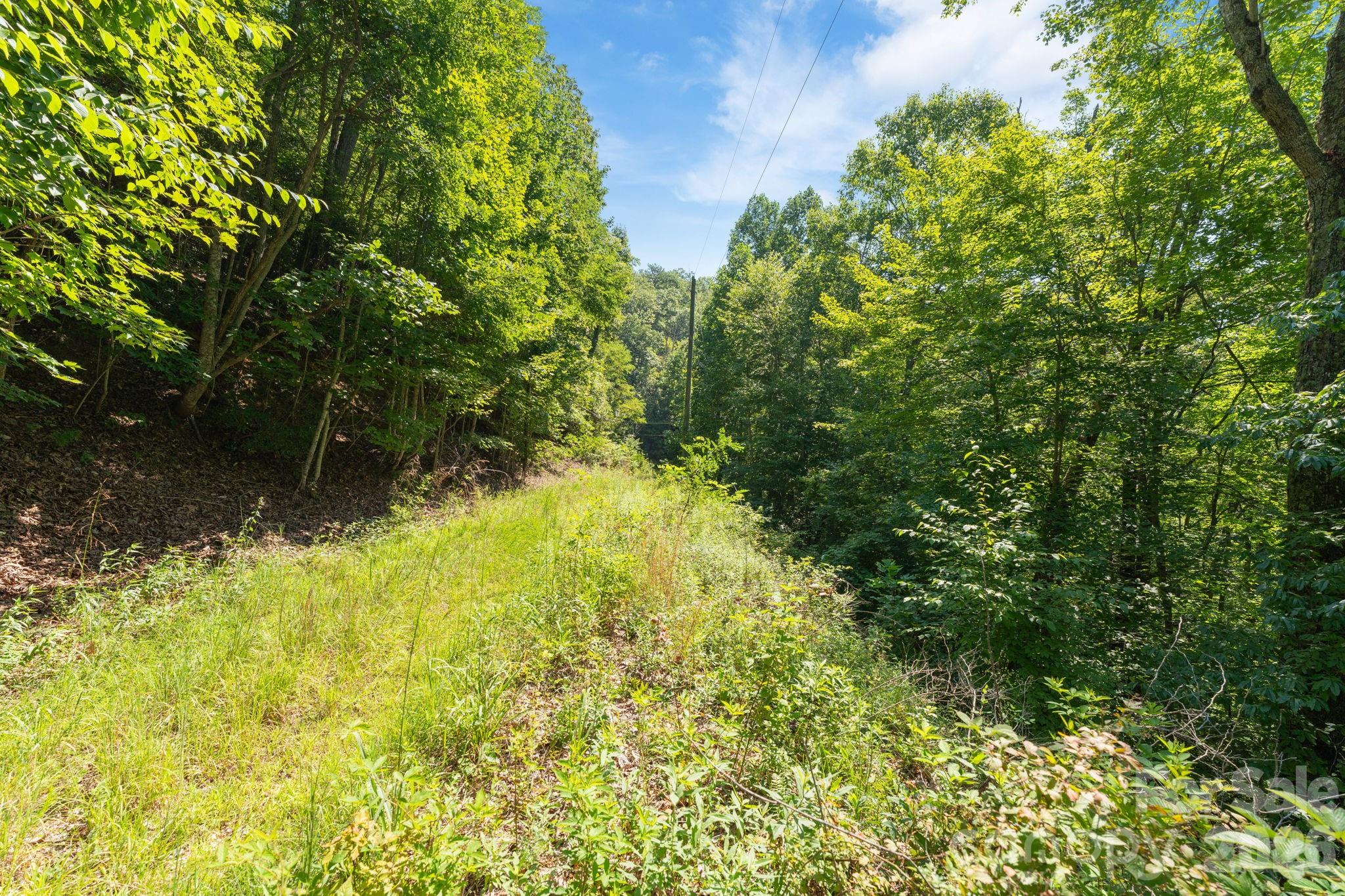 80 Breezewood Drive Property Photo 26