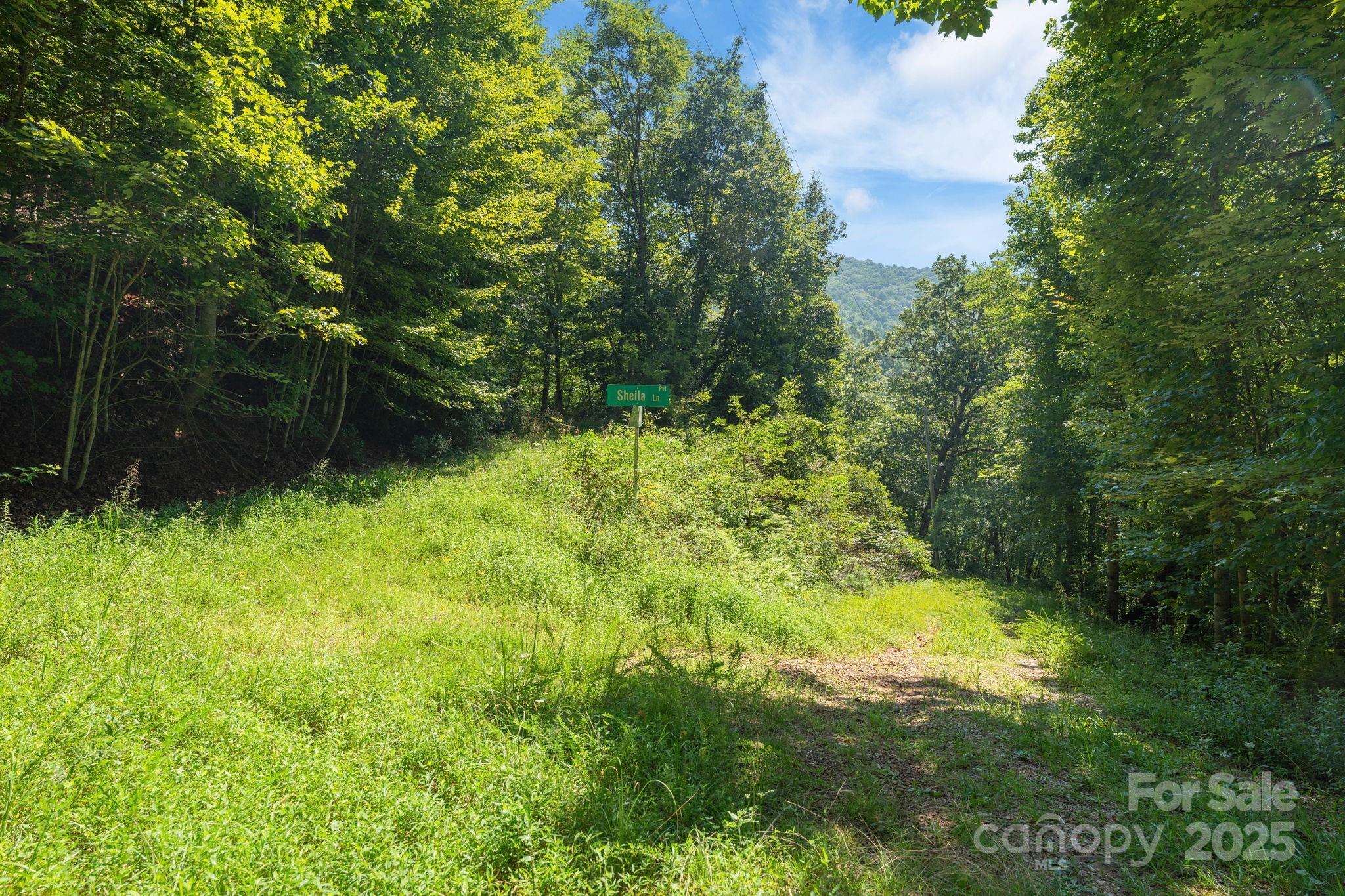 80 Breezewood Drive Property Photo 27