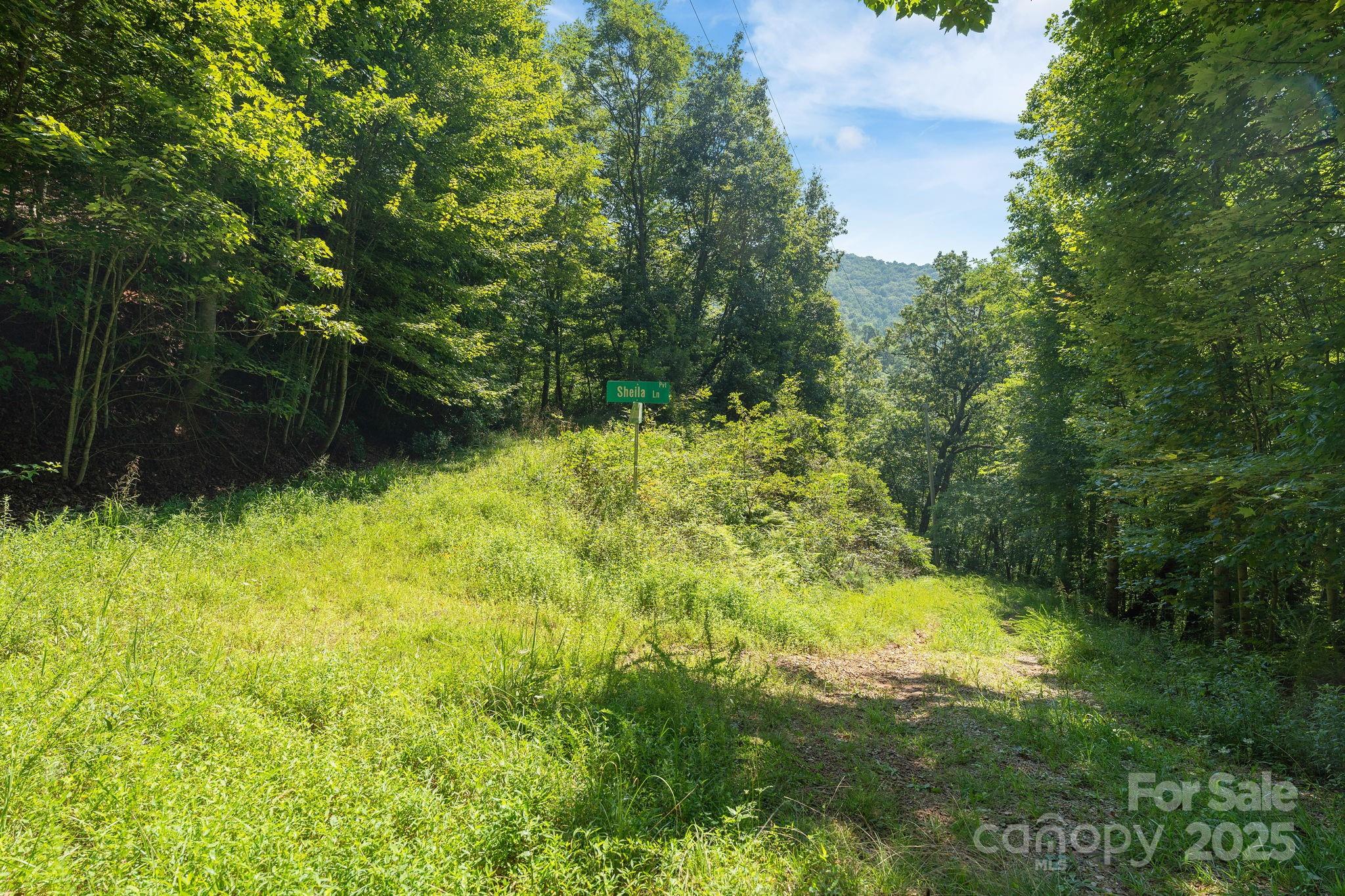 80 Breezewood Drive Property Photo 28