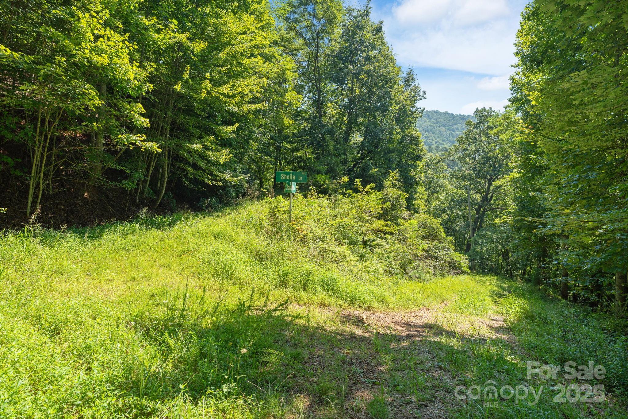 80 Breezewood Drive Property Photo 29