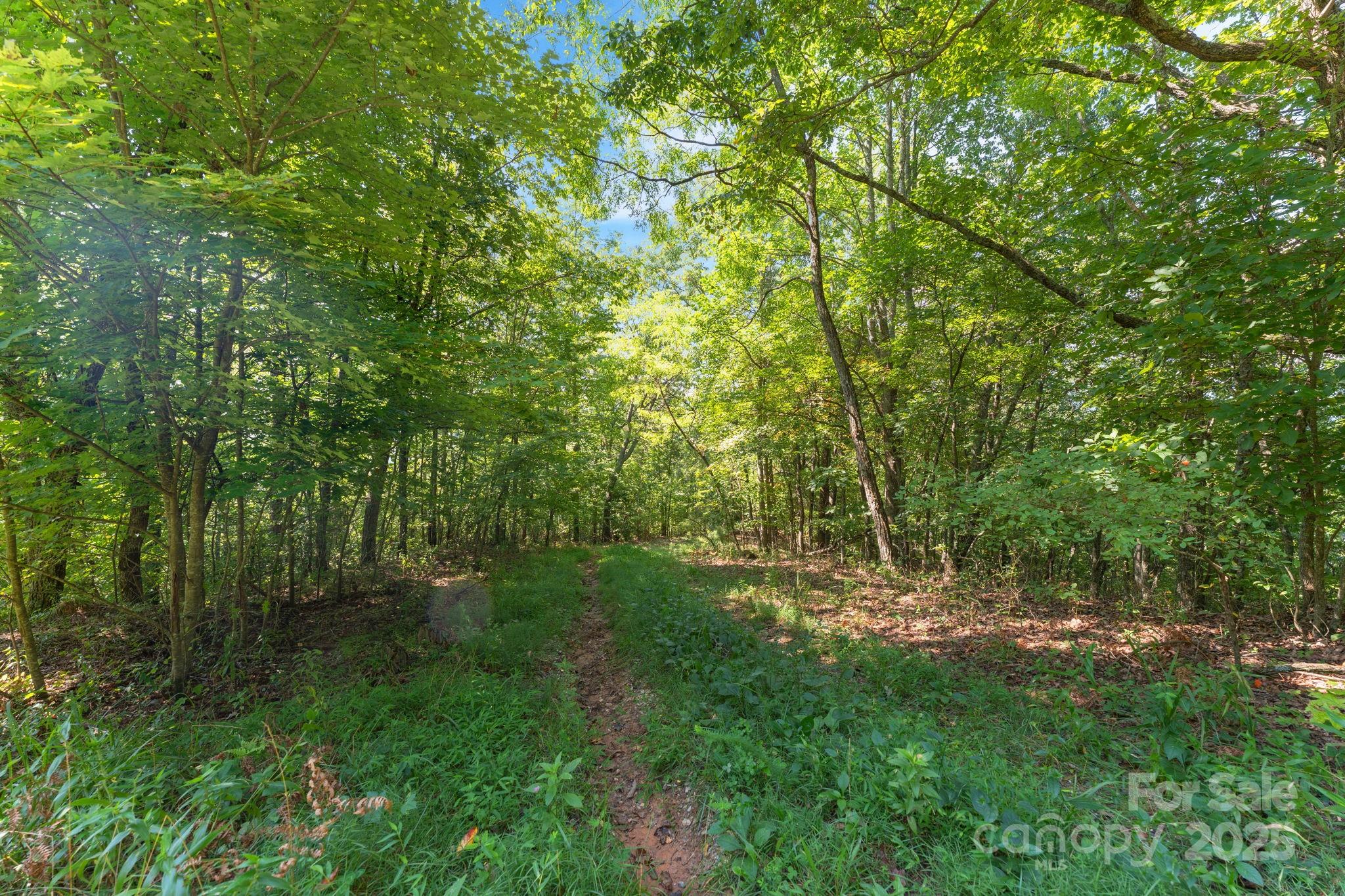 80 Breezewood Drive Property Photo 30