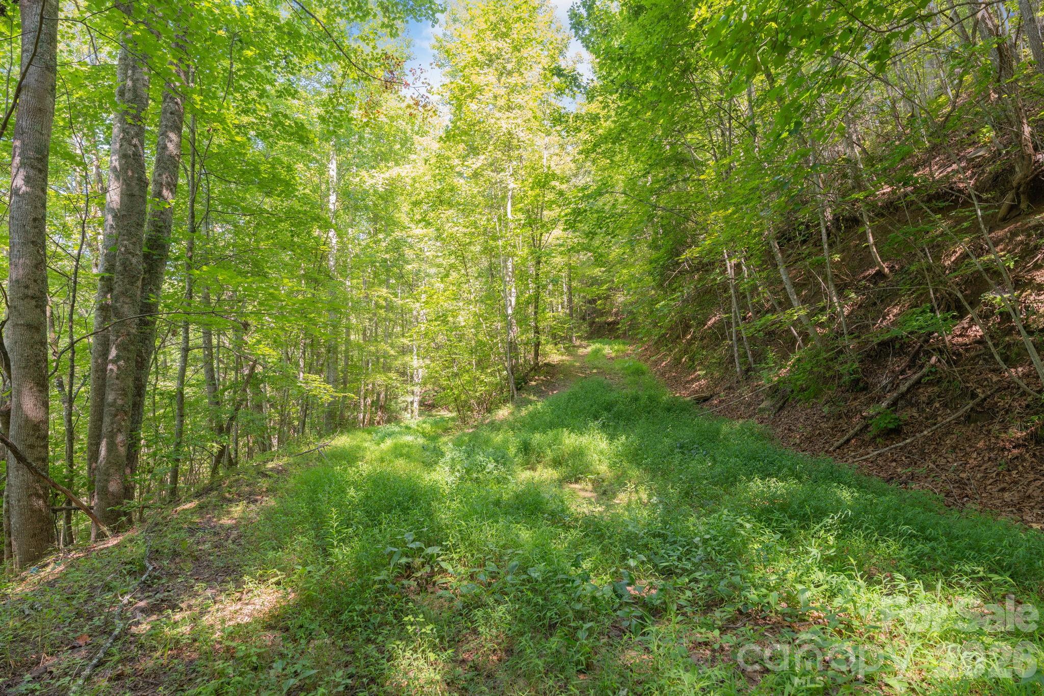 80 Breezewood Drive Property Photo 30