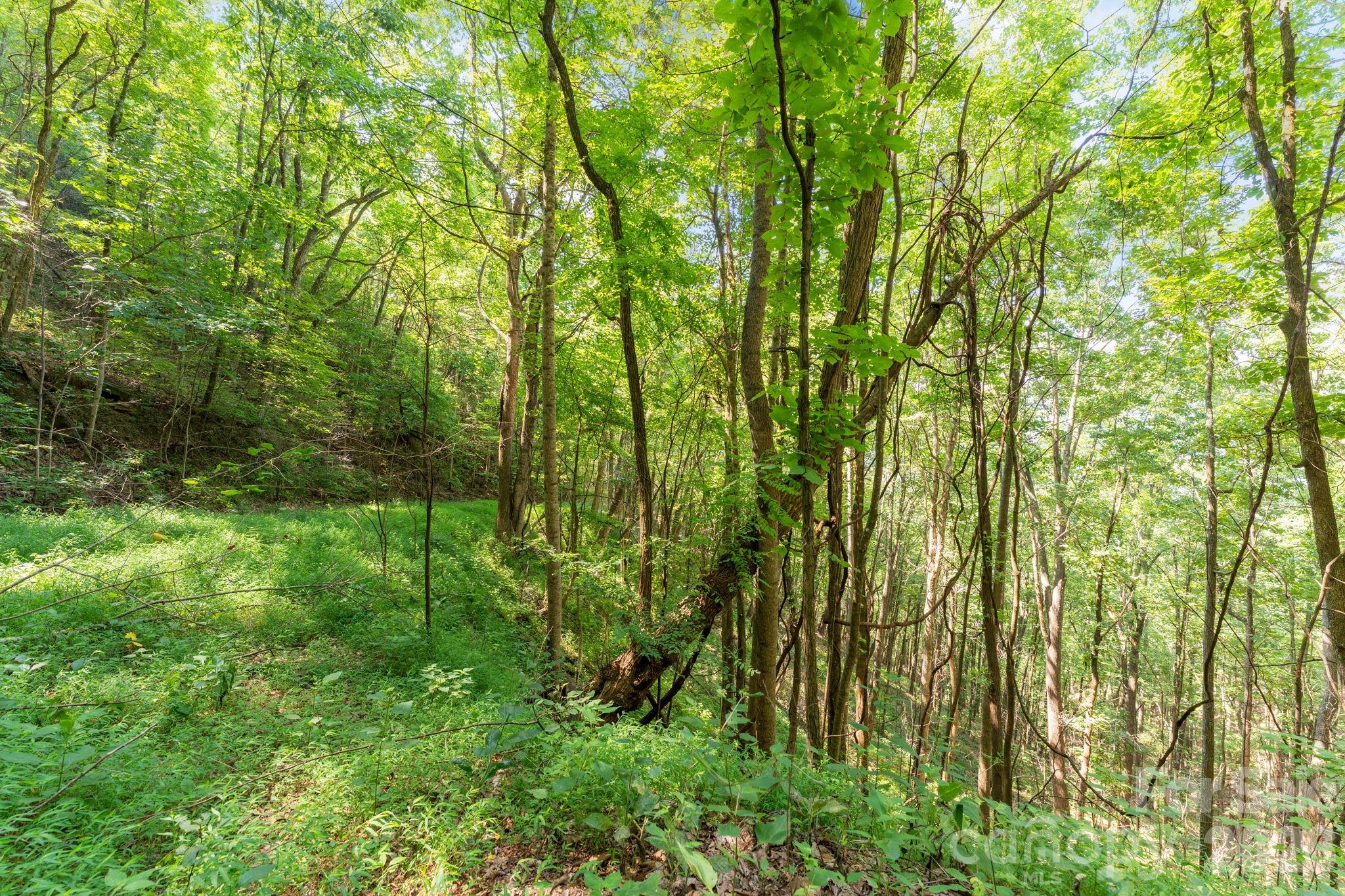 80 Breezewood Drive Property Photo 31