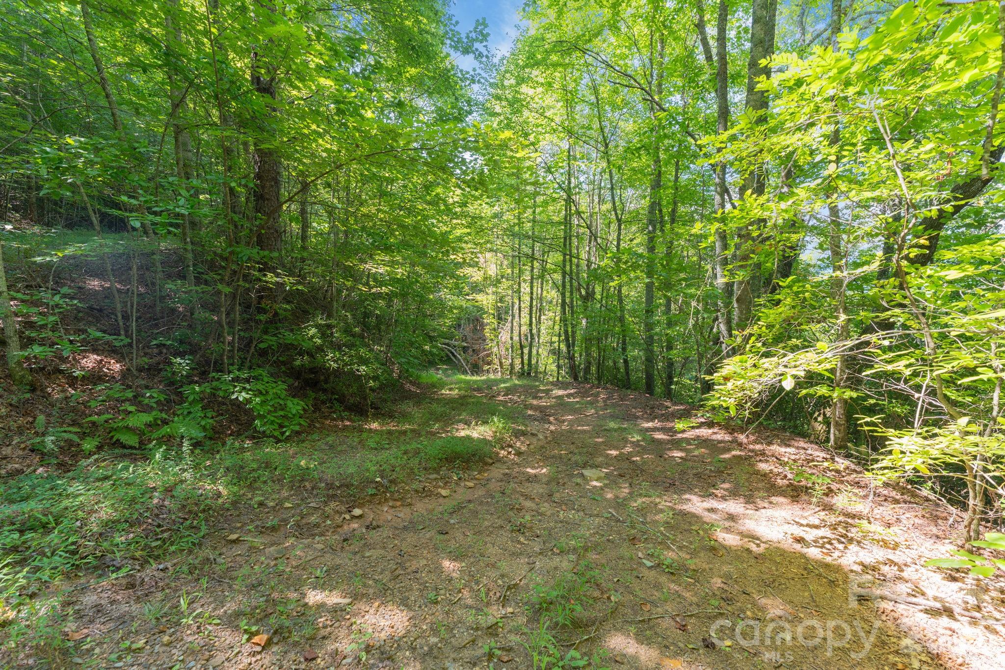 80 Breezewood Drive Property Photo 32
