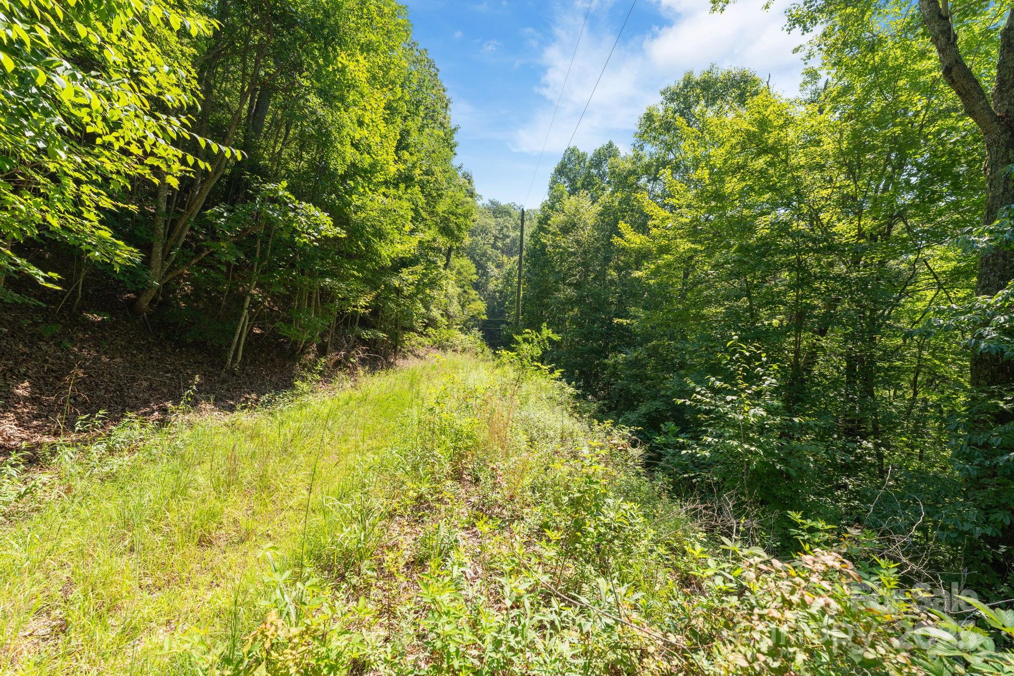 80 Breezewood Drive Property Photo 33