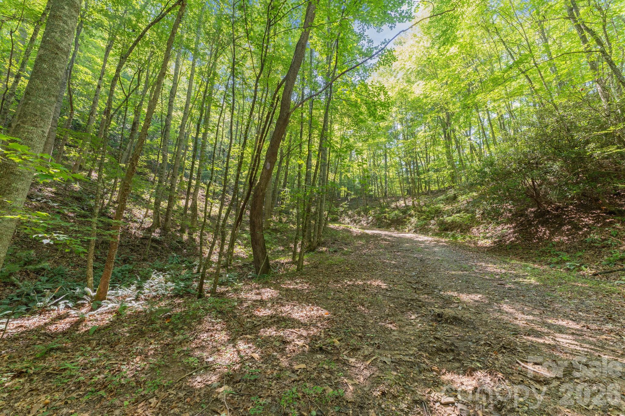 80 Breezewood Drive Property Photo 33