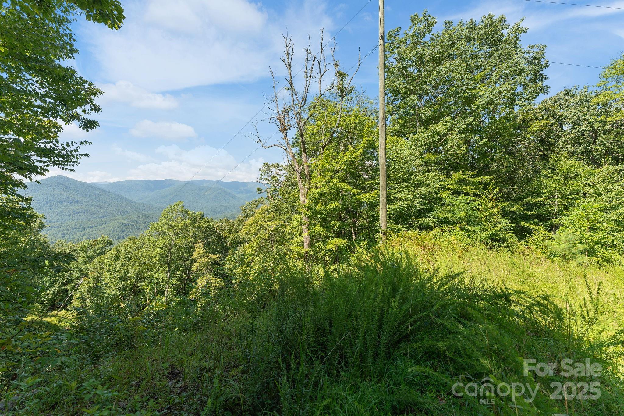 80 Breezewood Drive Property Photo 34