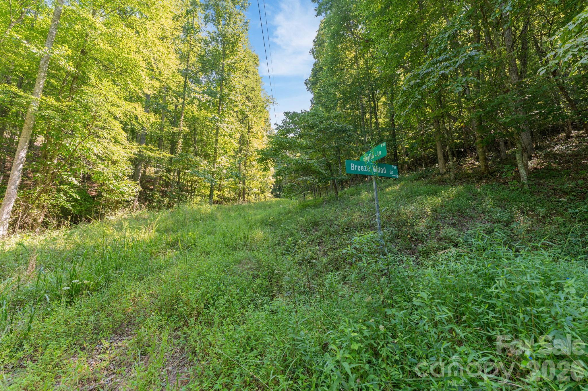 80 Breezewood Drive Property Photo 34