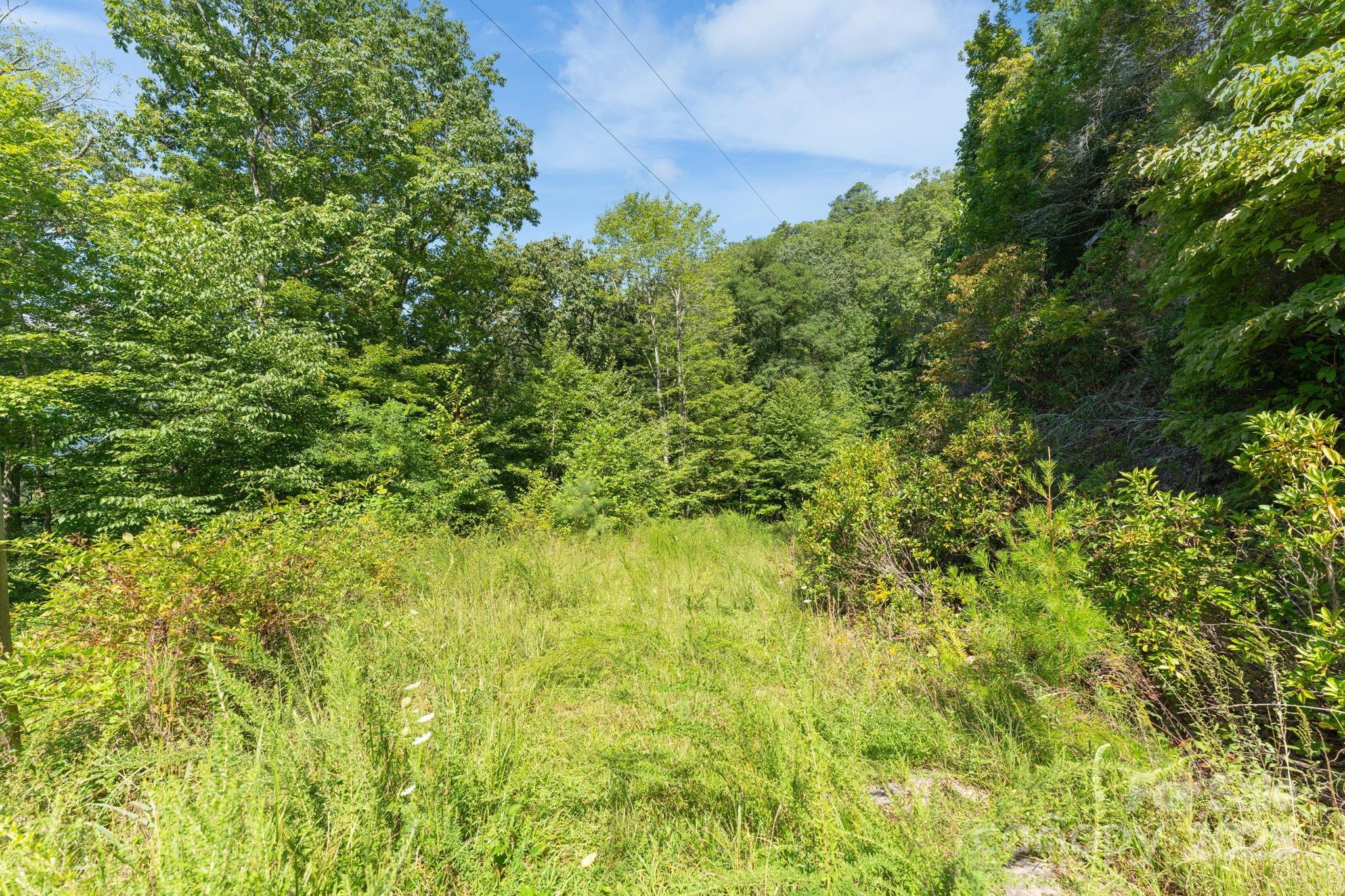 80 Breezewood Drive Property Photo 35