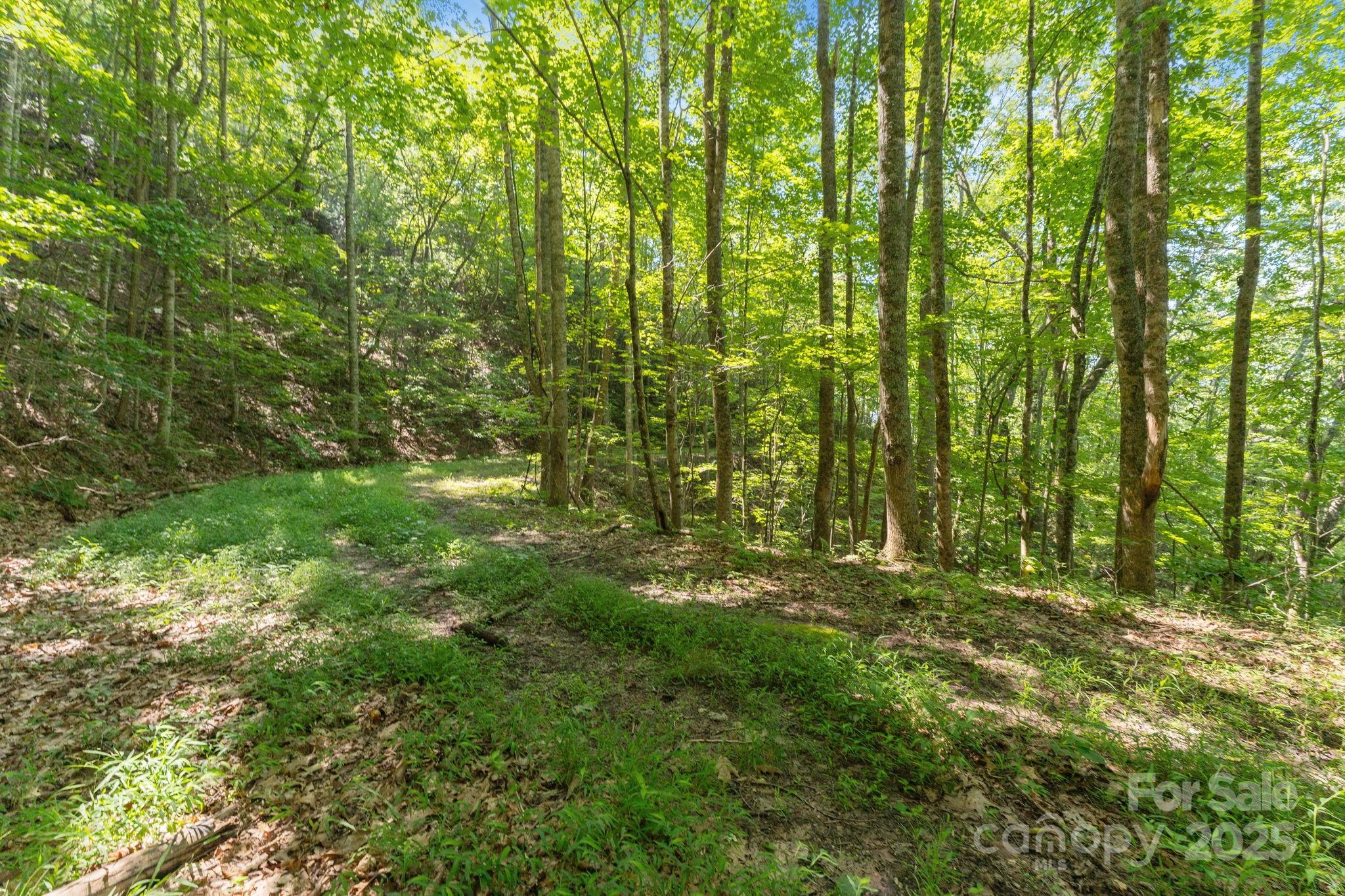 80 Breezewood Drive Property Photo 36