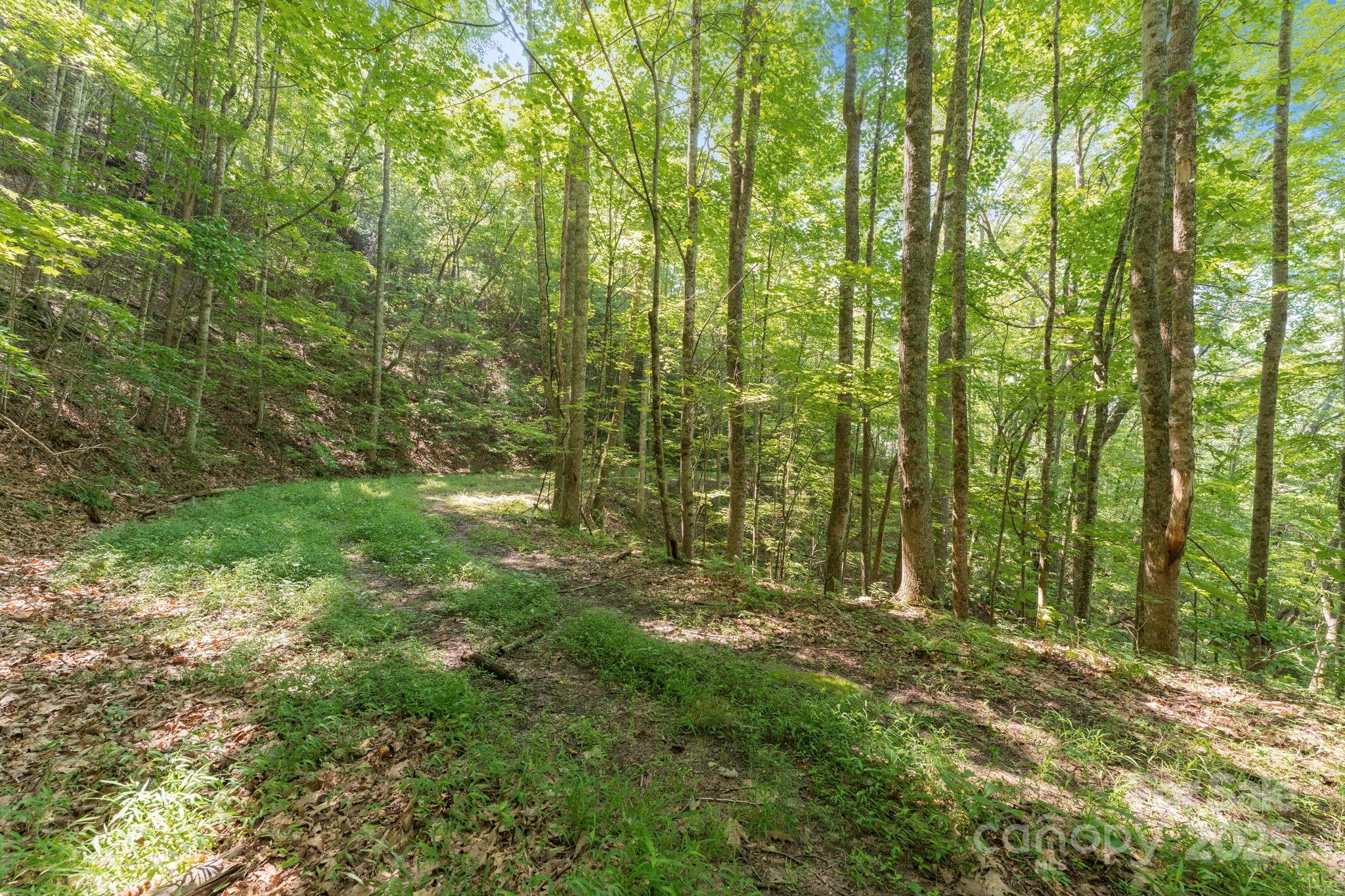 80 Breezewood Drive Property Photo 37