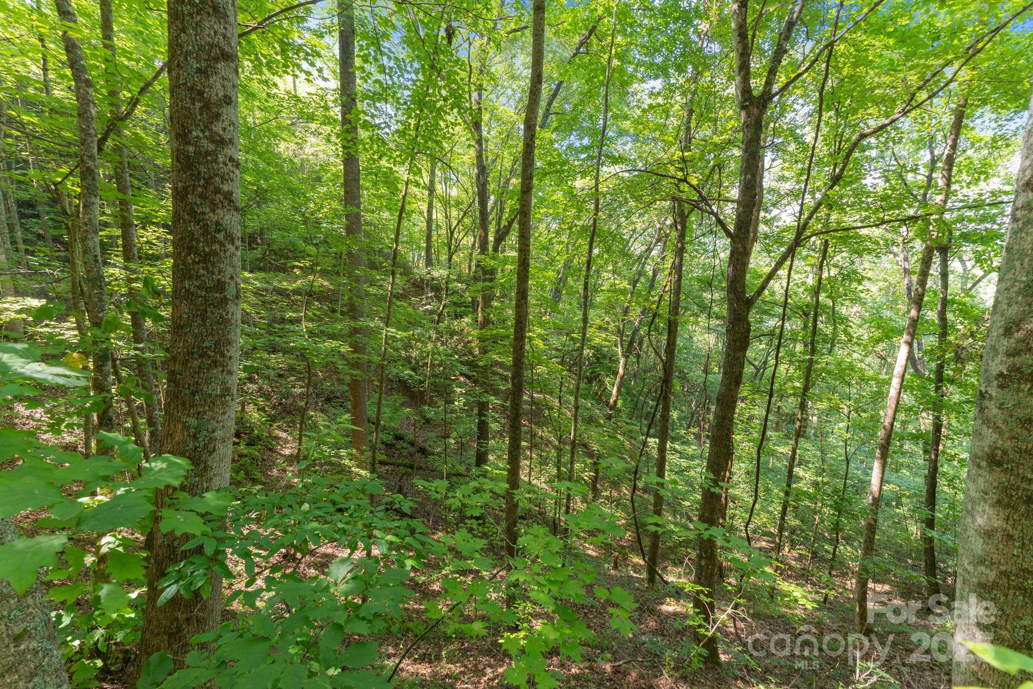 80 Breezewood Drive Property Photo 38