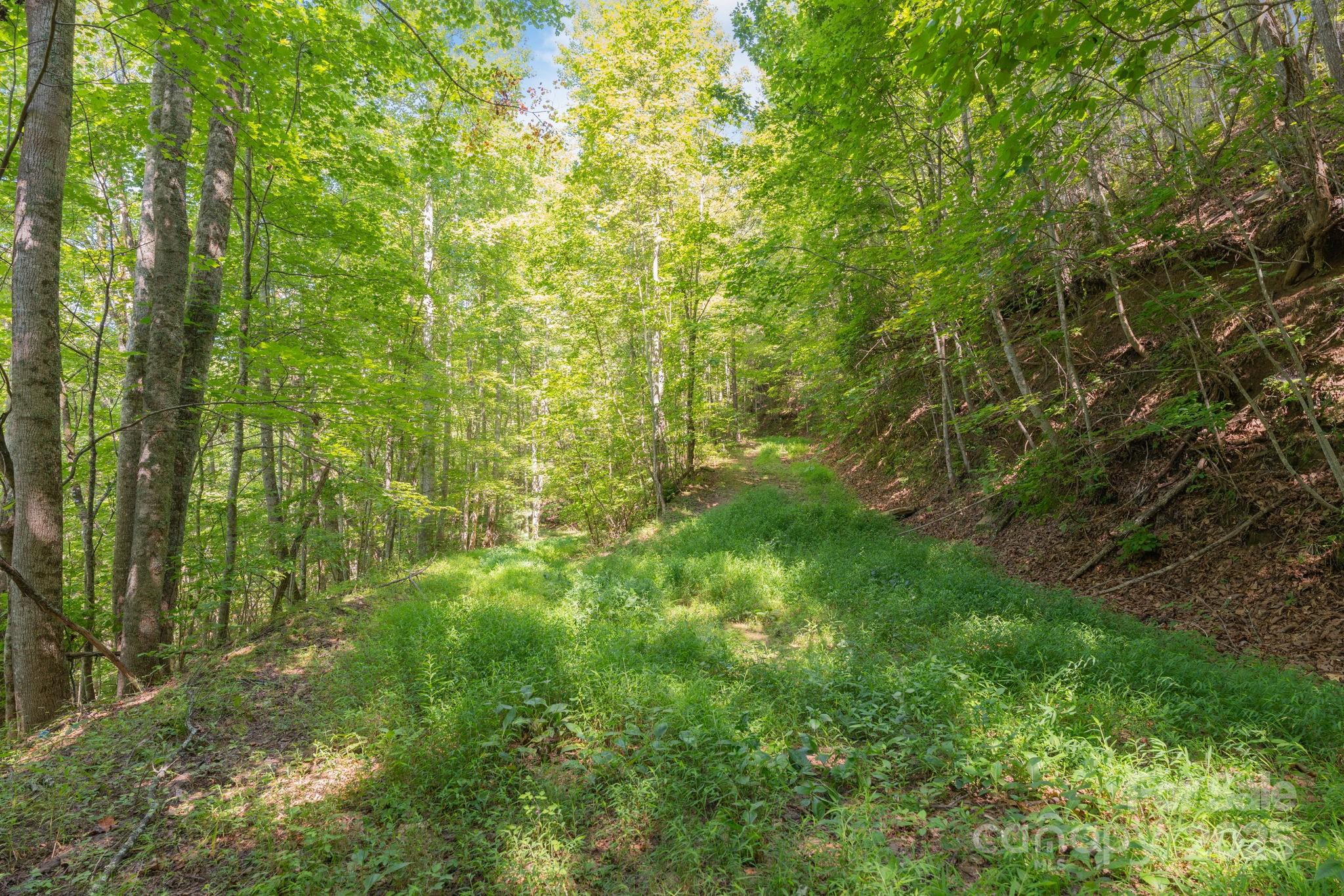 80 Breezewood Drive Property Photo 39