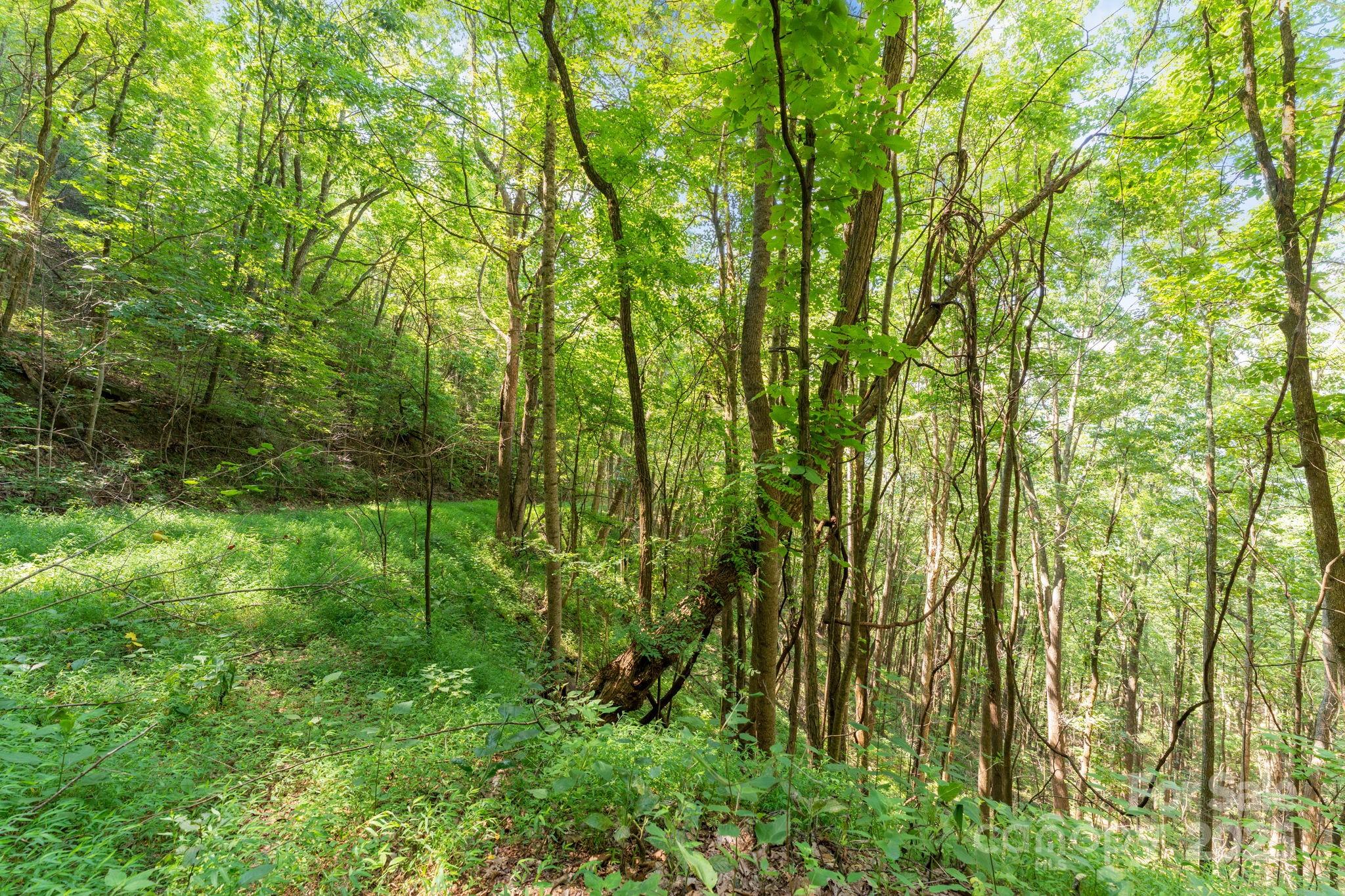 80 Breezewood Drive Property Photo 40