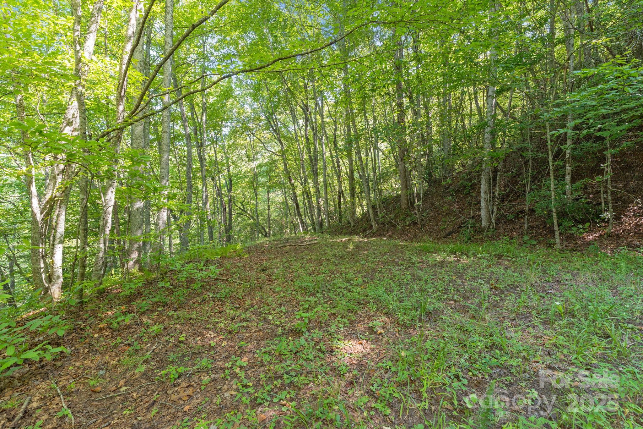 80 Breezewood Drive Property Photo 42