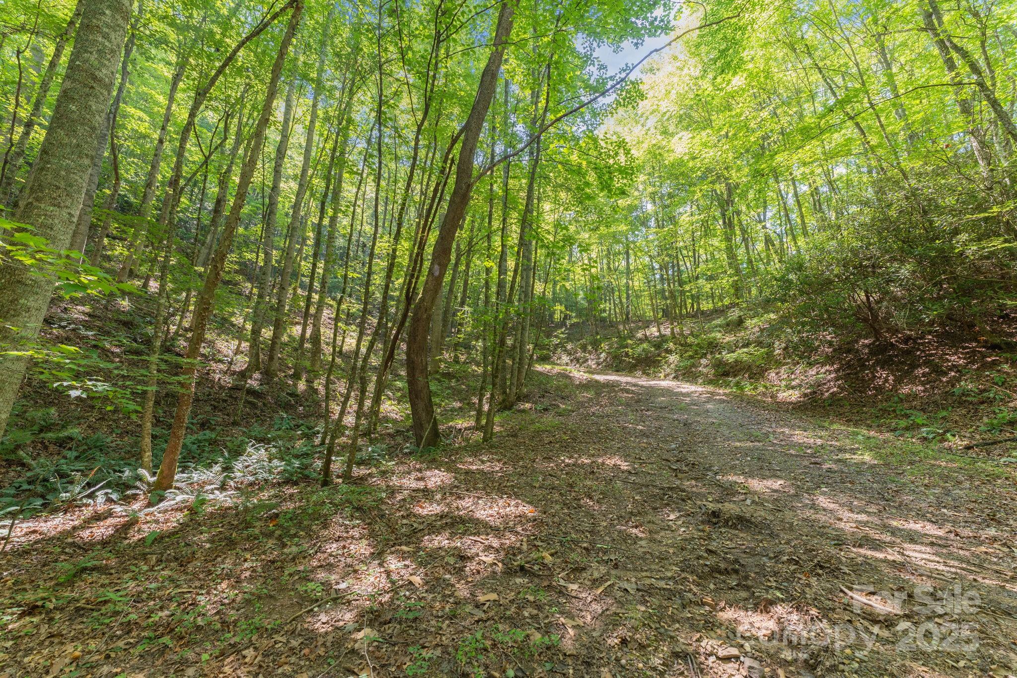 80 Breezewood Drive Property Photo 43