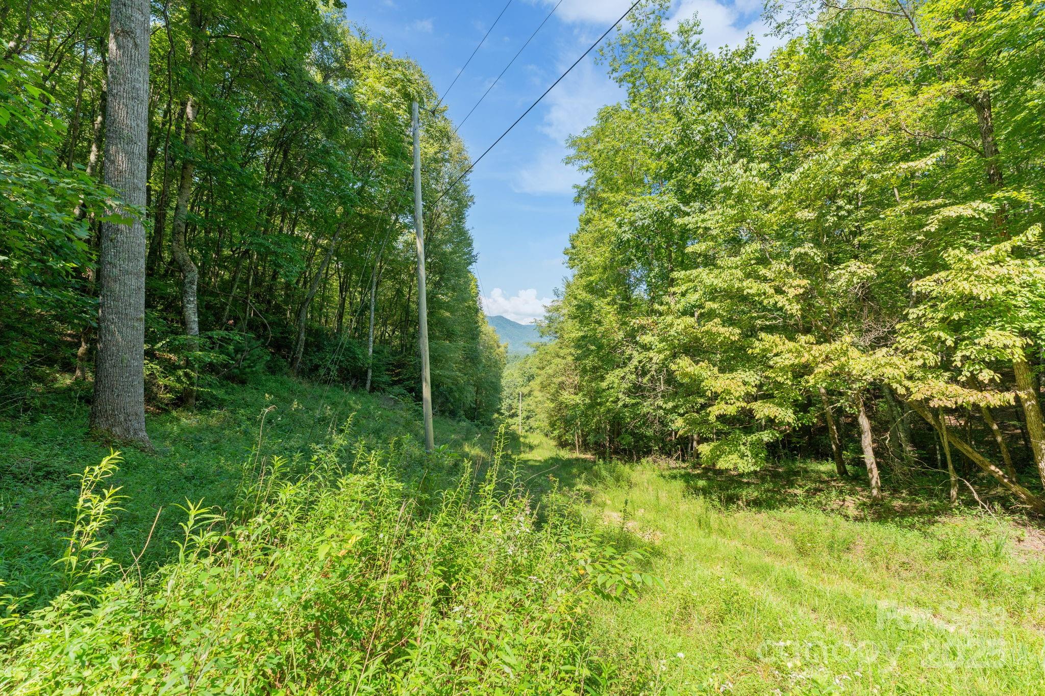 80 Breezewood Drive Property Photo 45