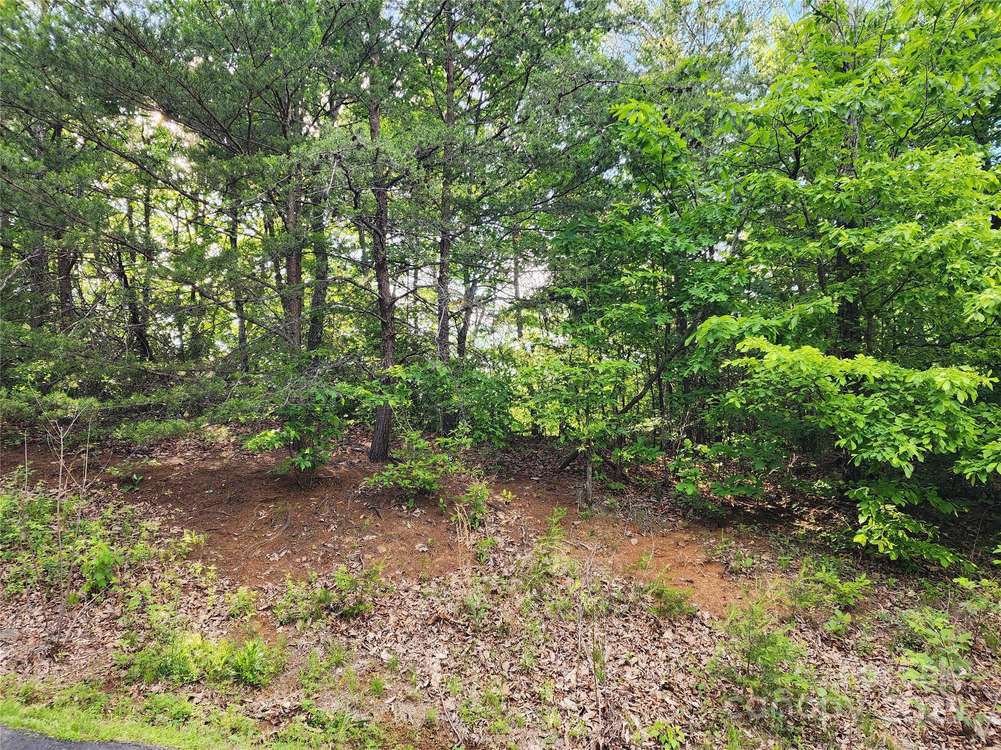 30 Mountain Lookout Drive Property Photo 21