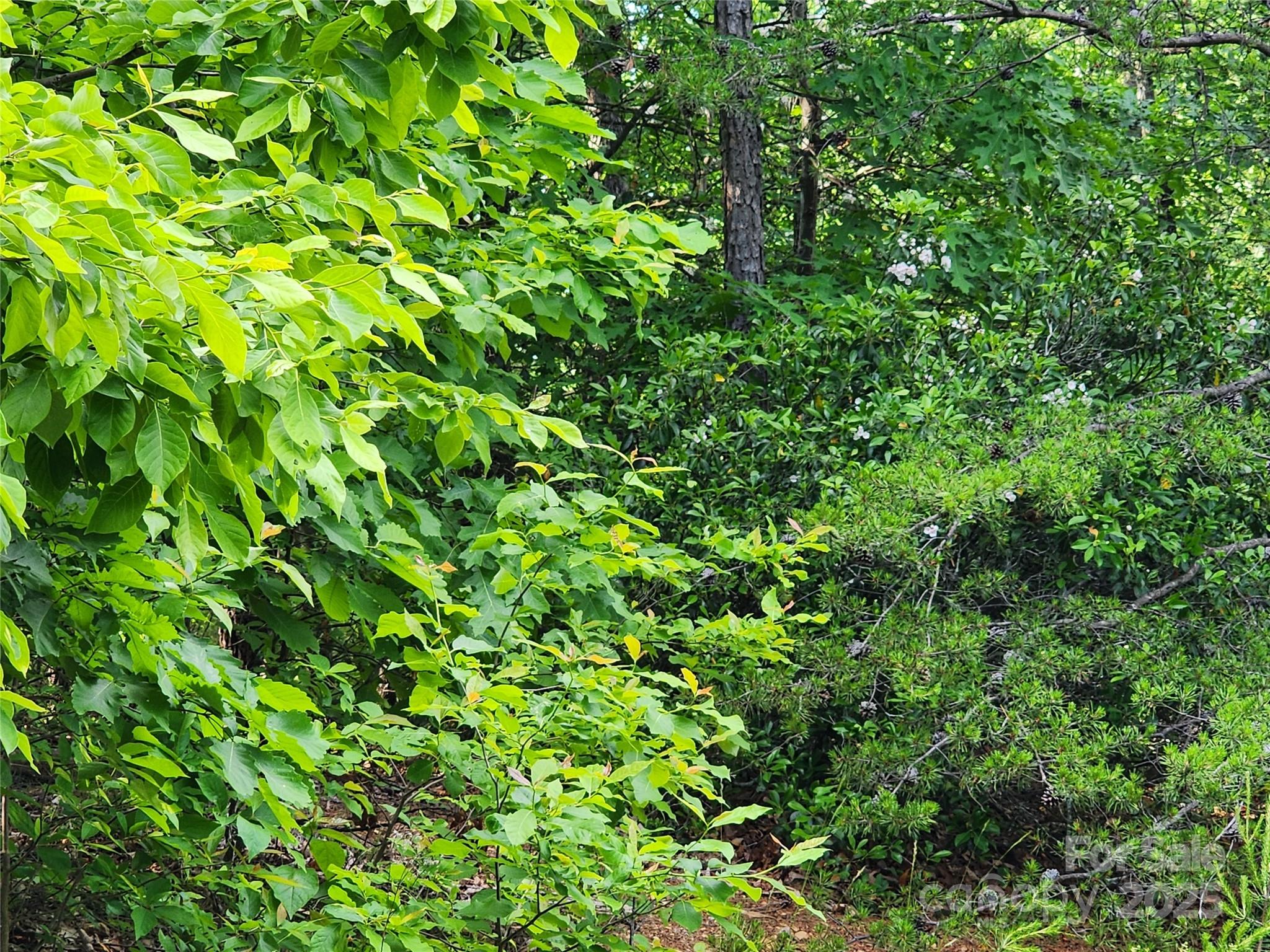 30 Mountain Lookout Drive Property Photo 22