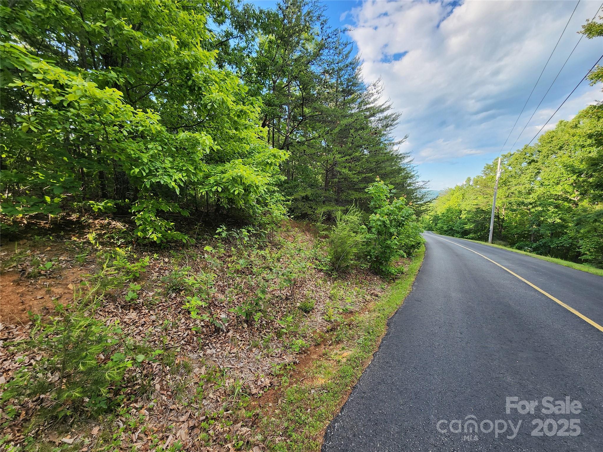 30 Mountain Lookout Drive Property Photo 23