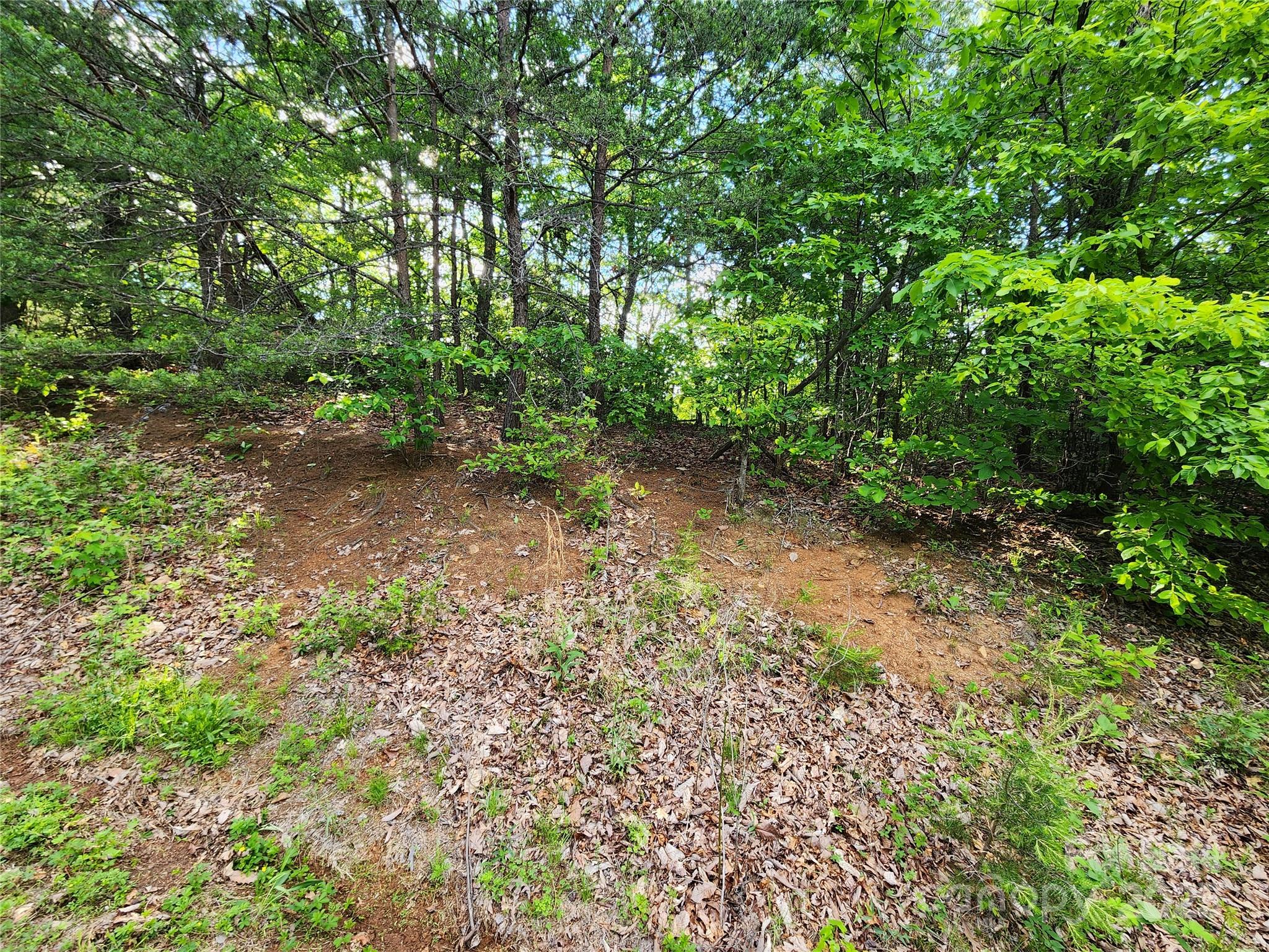 30 Mountain Lookout Drive Property Photo 24