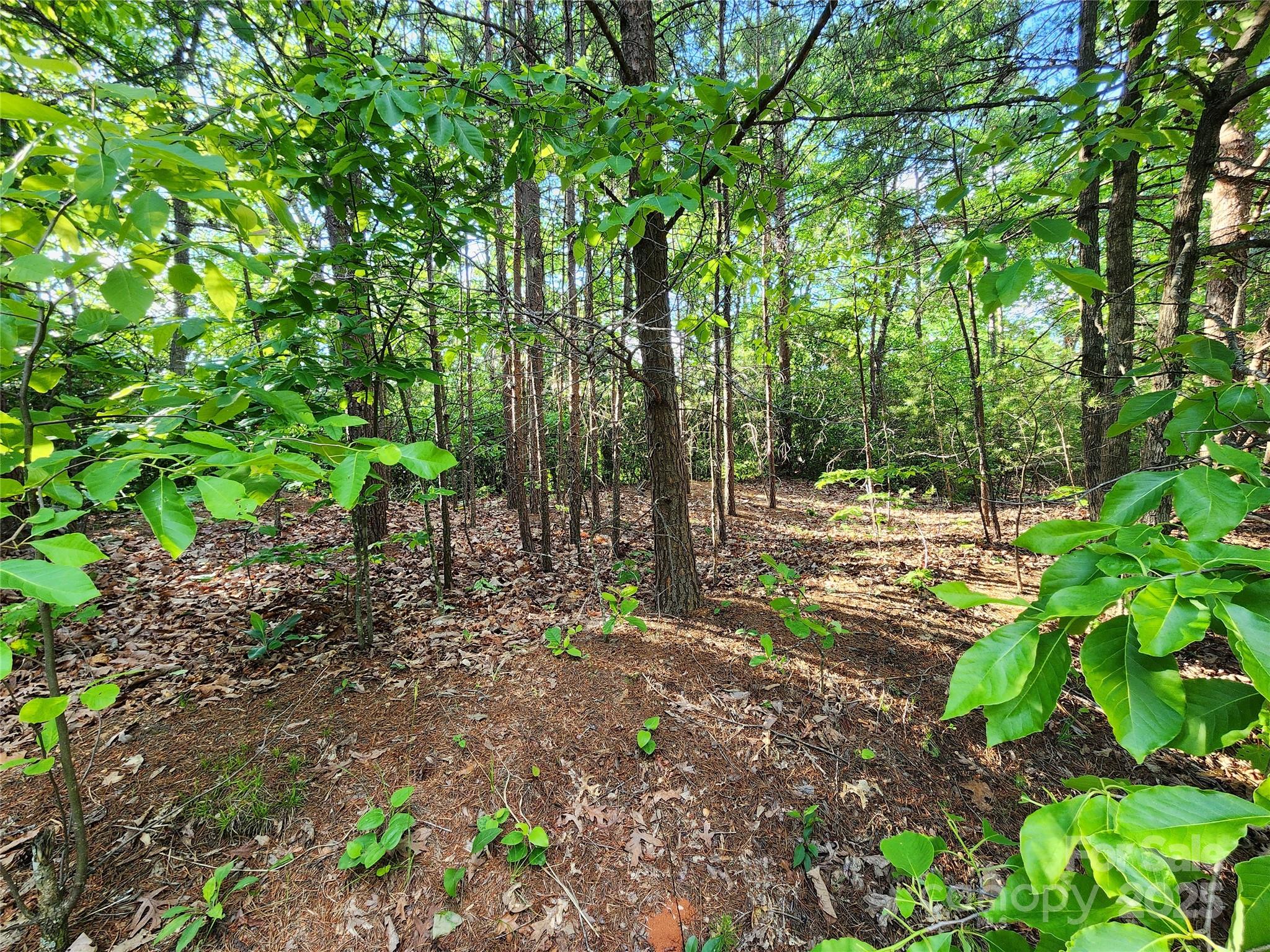 30 Mountain Lookout Drive Property Photo 25