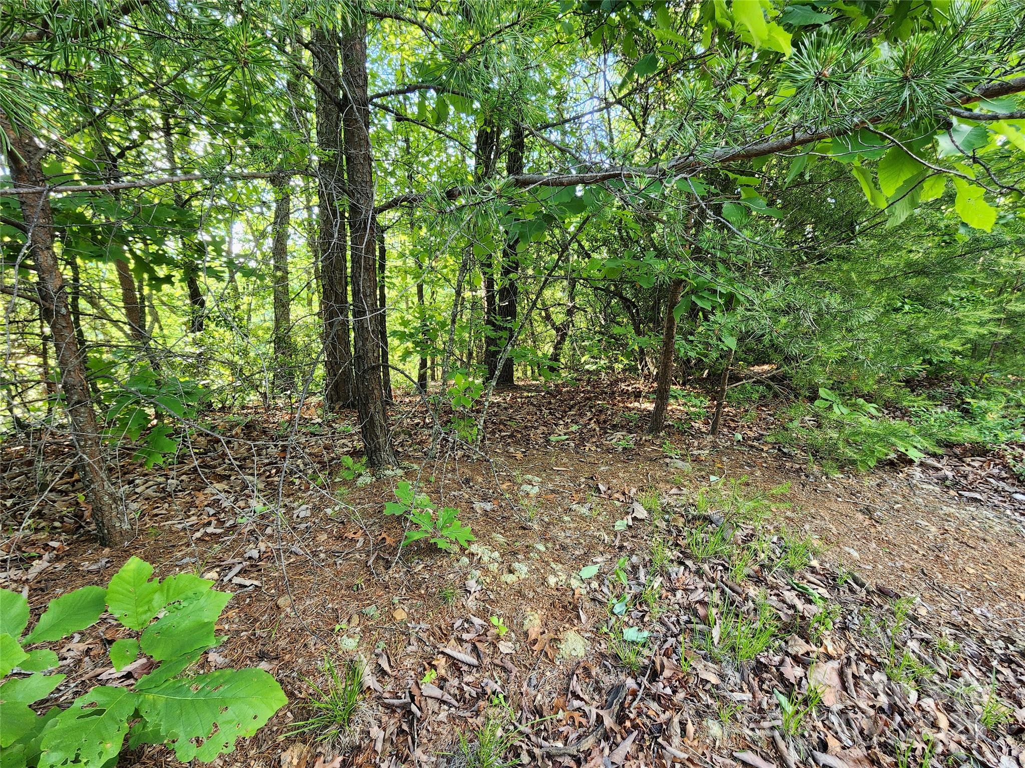 30 Mountain Lookout Drive Property Photo 29