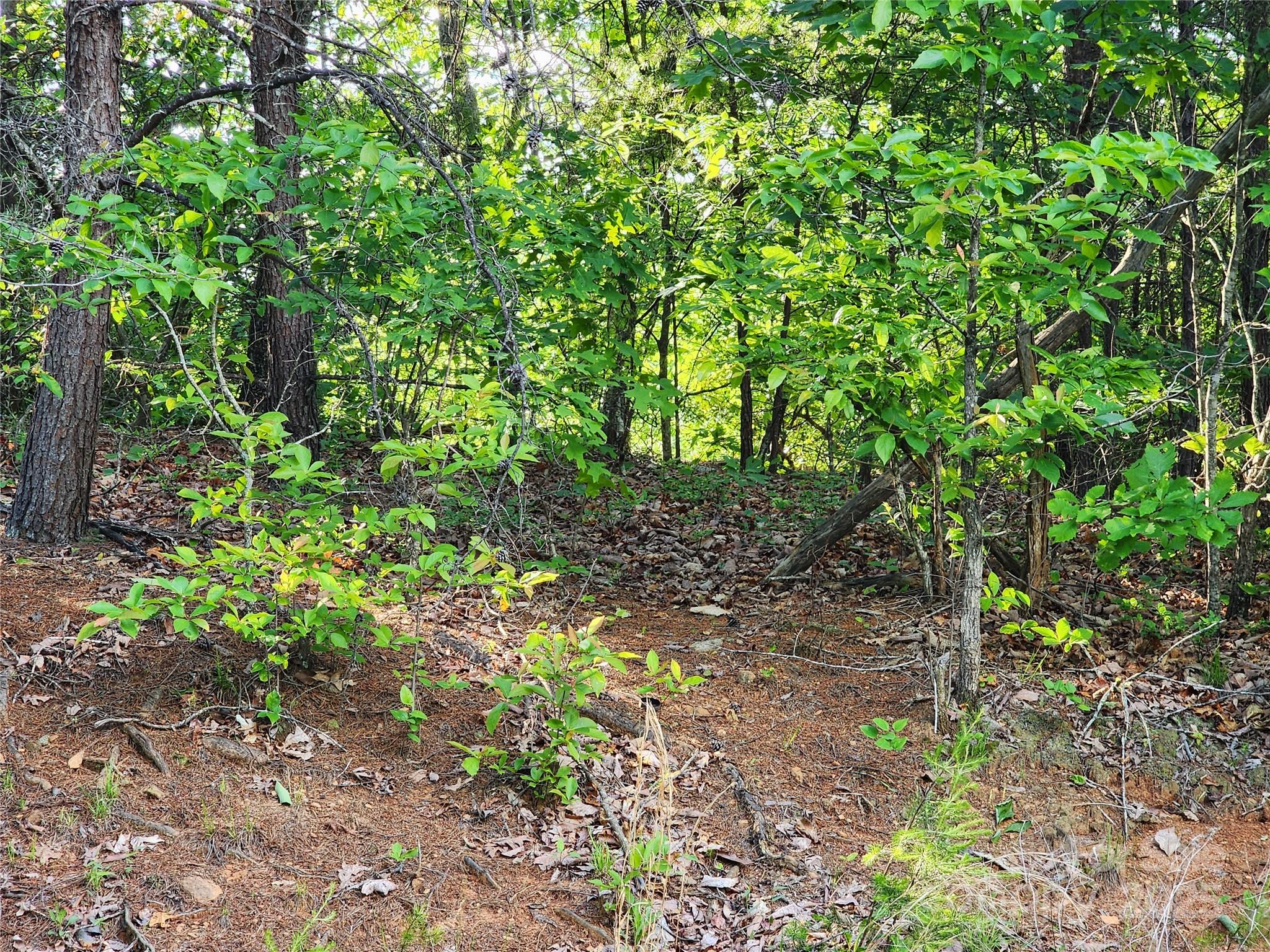 30 Mountain Lookout Drive Property Photo 31