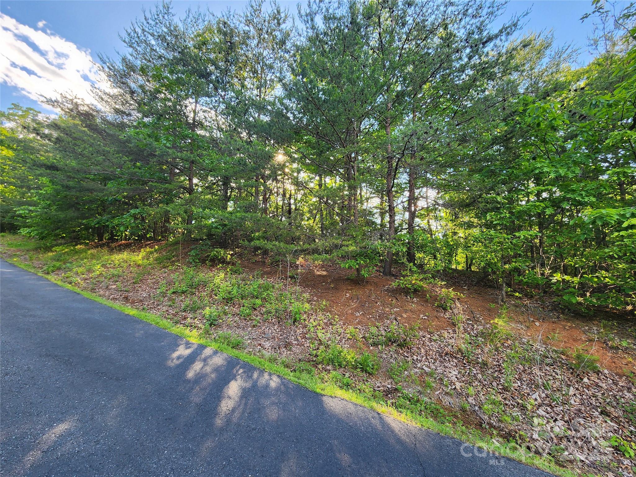 30 Mountain Lookout Drive Property Photo 32