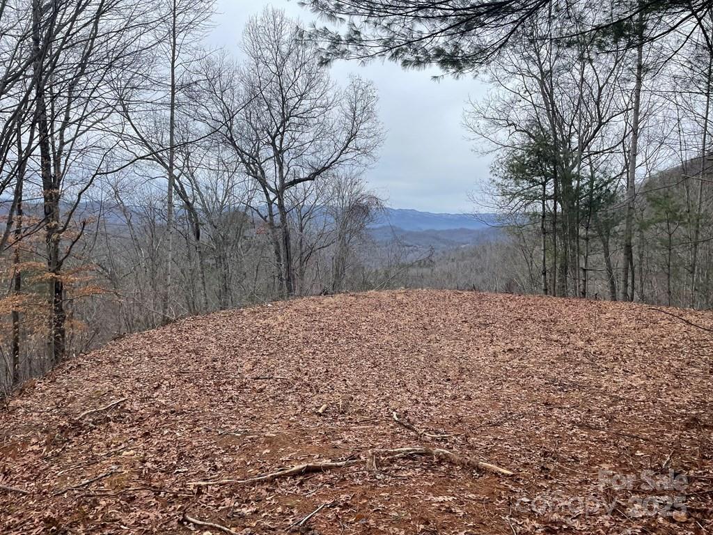 105 Starlight Lane Property Photo 3