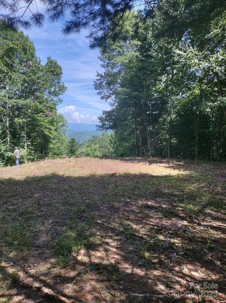 105 Starlight Lane Property Photo 4