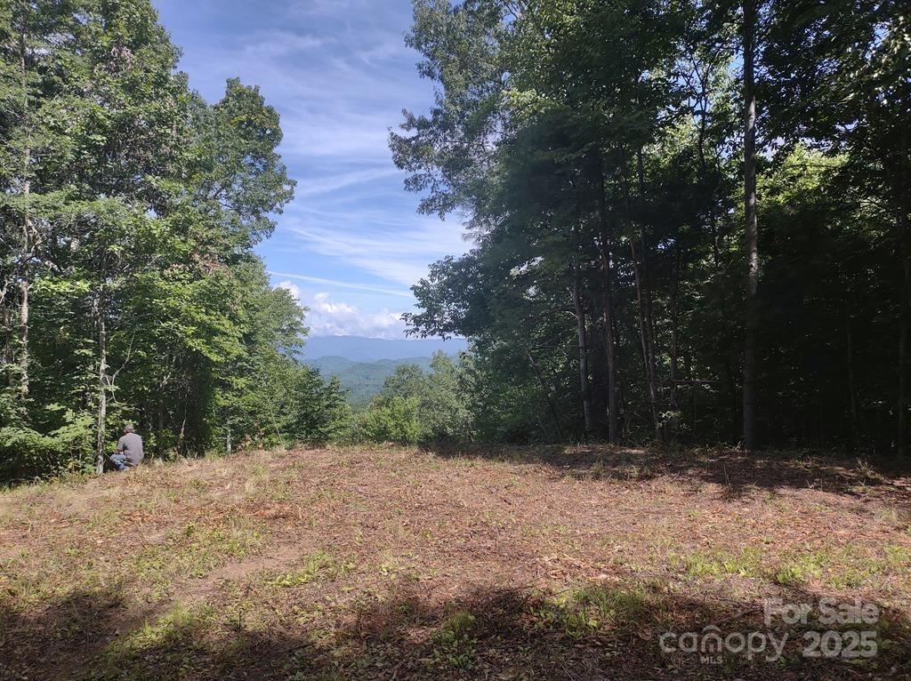 105 Starlight Lane Property Photo 6