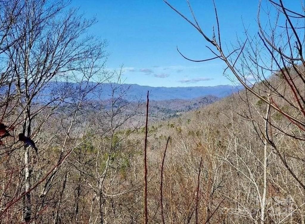 105 Starlight Lane Property Photo 9