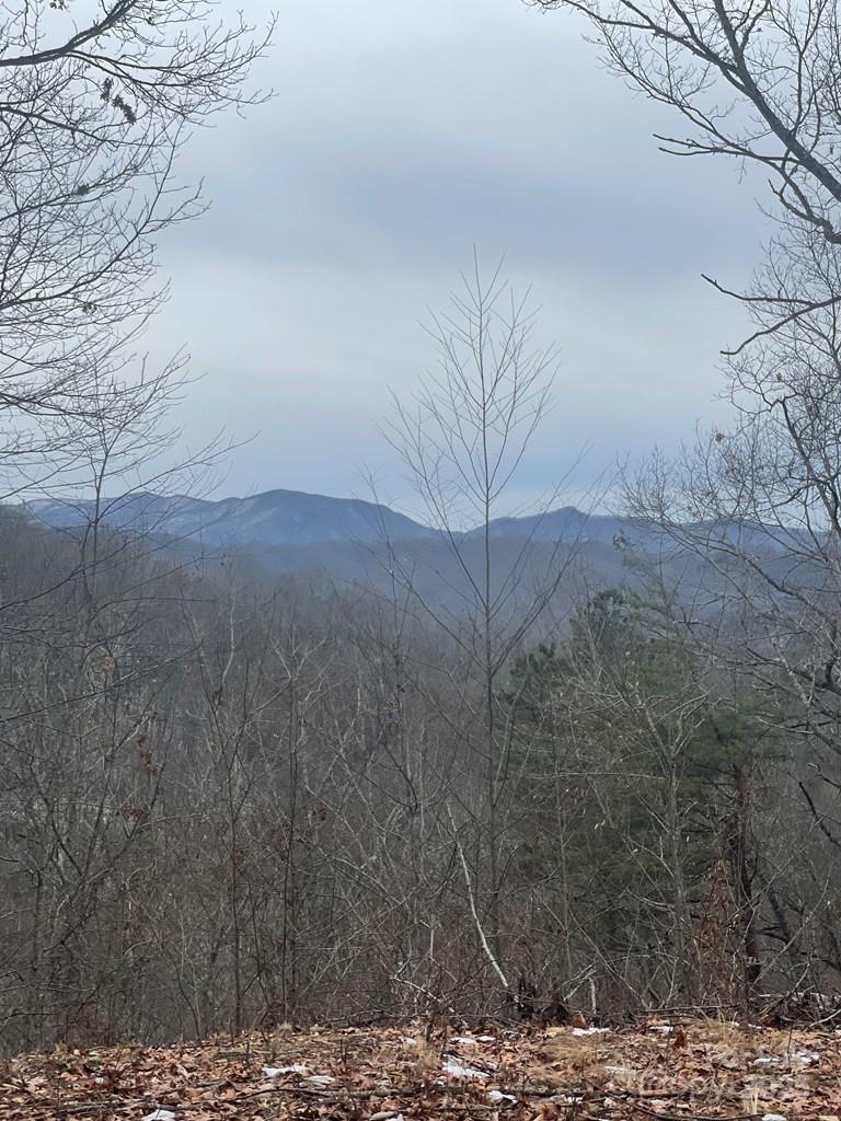 105 Starlight Lane Property Photo 10