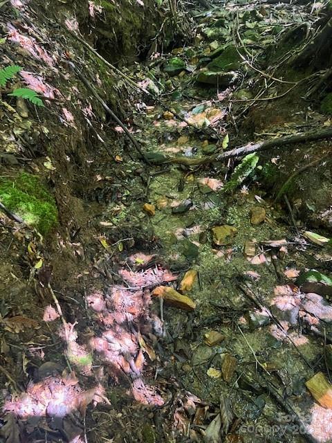 105 Starlight Lane Property Photo 12