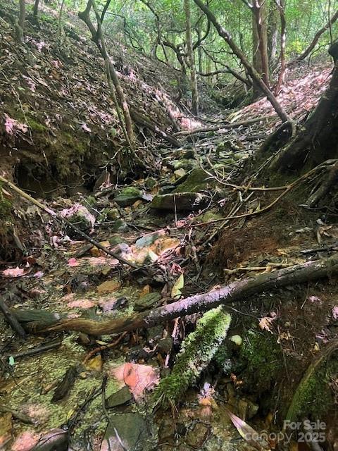 105 Starlight Lane Property Photo 13