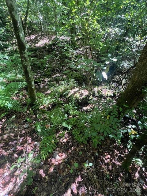 105 Starlight Lane Property Photo 15