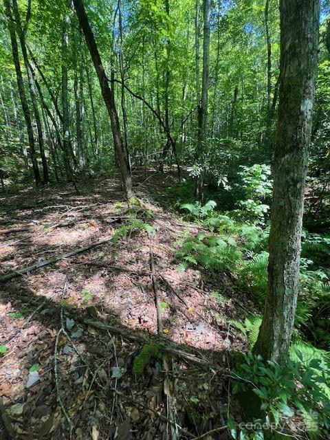 105 Starlight Lane Property Photo 16