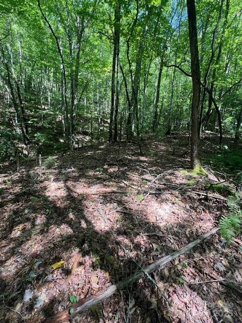 105 Starlight Lane Property Photo 17