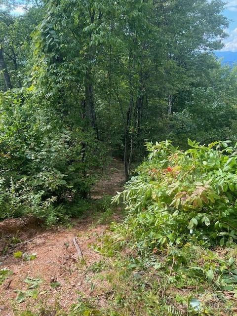 105 Starlight Lane Property Photo 20