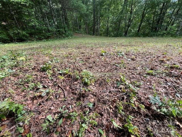 105 Starlight Lane Property Photo 21