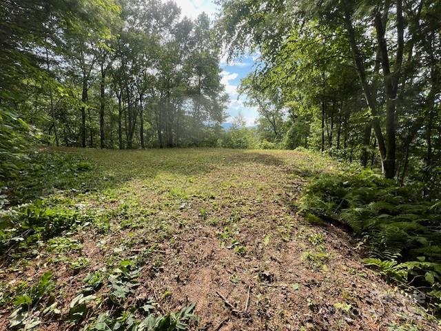 105 Starlight Lane Property Photo 22