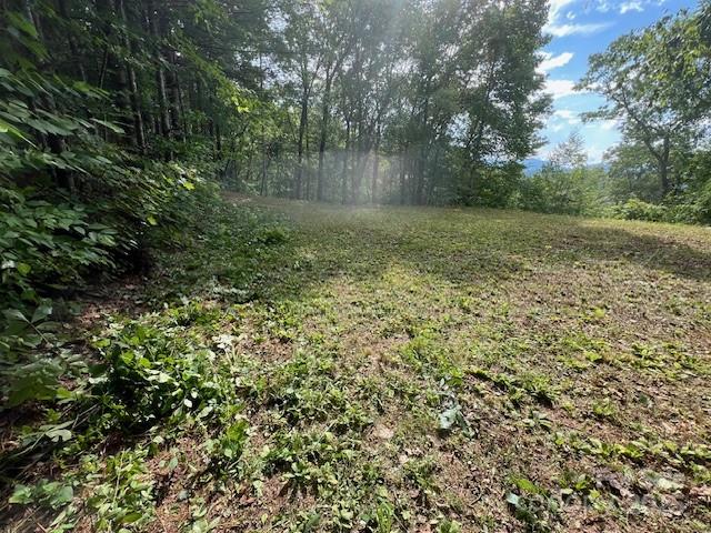 105 Starlight Lane Property Photo 23